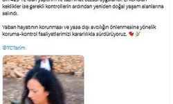 Mardin'de yasa dışı av denetimi; 22 kınalı keklik ele geçirildi