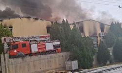 Mersin'de tütün işleme tesisinde yangın