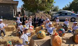Nevşehir'de tescilli çerezlik çekirdek elde edilen kabakta hasat zamanı