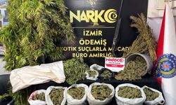 Ödemiş'te 7 kilo 671 gram esrar ele geçirildi