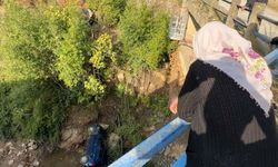 Otomobil, dereye uçtu; 3 yaralı