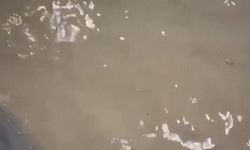 Pendik'te sağanağın ardından tüneli su bastı