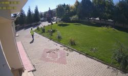 Polisin 'Heimlich' manevrası sürücünün hayatını kurtardı