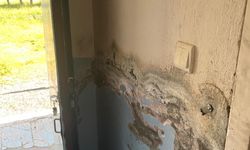 Sahneledikleri oyunun geliriyle ilkokulu baştan sona yenilediler