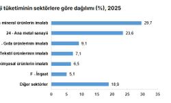 Sanayi sektörü 1,7 milyon terajul enerji tüketti