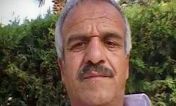 Şanlıurfa'da devrilen otomobilin sürücüsü öldü
