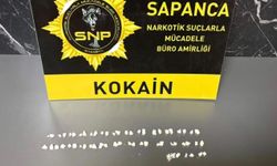 Sapanca'ya uyuşturucu getiren şüpheli tutuklandı