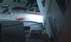 Şarkıcı Güllü'nün ölümüne ilişkin dava başladı (3)