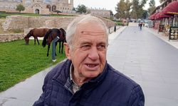 Selimiye Camisi meydanında başıboş 3 at otlarken görüldü