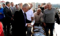 Şile'de palamut bolluğu; kasası 600 liradan satıldı