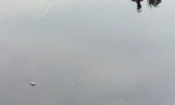 Tankerler çarpıştı; tonlarca akaryakıt yola döküldü