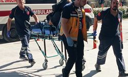 Tarlada levye ve pompalı tüfekli kavga; 3 yaralı