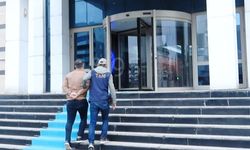 Tatvan'da FETÖ Operasyonu: 1 tutuklama