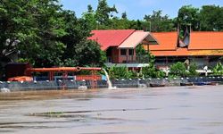 Tayland'da şiddetli yağışların neden olduğu selde hayatını kaybedenlerin sayısı 31'e yükseldi