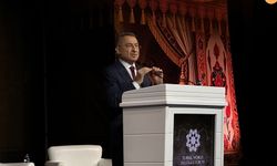 TBMM Dışişleri Komisyonu Başkanı Oktay: Türk dünyası Avrasya'nın atan kalbidir