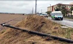 Tekirdağ'da fırtına; ağaç ve telefon direği devrildi