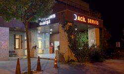 Tunceli'de otomobilin çarptığı yaya öldü