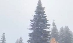 Uludağ'da kar yağışı