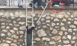 Yağmurda dereye sürüklenen yavru kediyi kurtarmak için zamanla yarıştılar