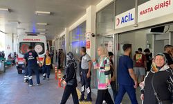 Yıldırımın isabet ettiği çoban ağır yaralandı