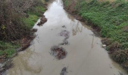 Sakarya'da çantalarda ceset parçaları bulunmasına ilişkin çalışmalar sürüyor