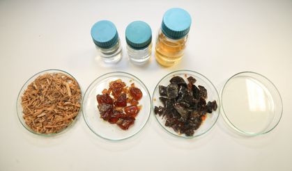 BTÜ'de çevre dostu alternatif ambalaj üretilecek