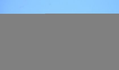 GÜNCELLEME - Belçika'da dünyaca ünlü müzik festivali Tomorrowland'in yapılacağı alanda yangın