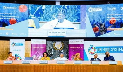 Nijerya tarım programına 538 milyon dolarlık kaynak ayırdı