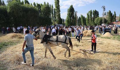 Bayburt'ta "6. Harman Festivali" başladı