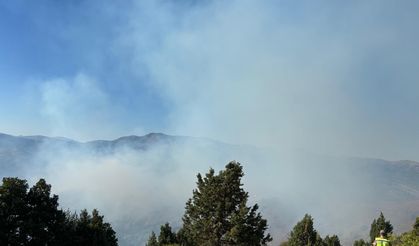 Gümüşhane'de çıkan orman yangınına müdahale ediliyor