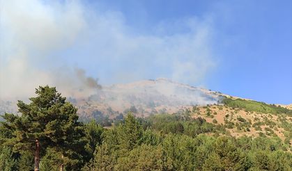 Gümüşhane'de dağlık alanda çıkan örtü yangını kontrol altına alındı