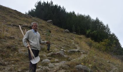 Gümüşhane'deki köyünü 40 yılda 50 bini aşkın fidanla buluşturdu