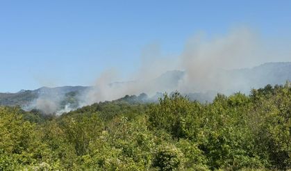 GÜNCELLEME - Bartın'da ormanlık alanda çıkan yangın kontrol altına alındı