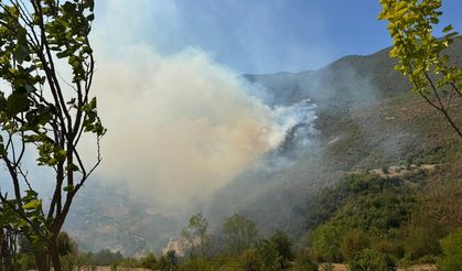 GÜNCELLEME - Bartın'da ormanlık alanda çıkan yangına müdahale ediliyor