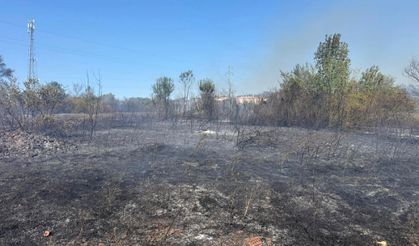 GÜNCELLEME - Bartın'da tarlada çıkıp ağaçlık alana sıçrayan yangın kontrol altına alındı