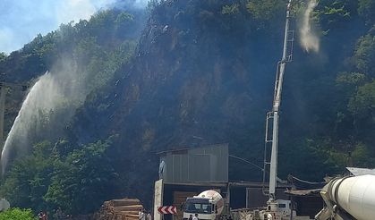 GÜNCELLEME - Gümüşhane'deki örtü yangını kontrol altına alındı