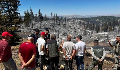 Karaman Valisi Çiçekli, iki ilçede söndürülen orman yangınlarının ardından incelemelerde bulundu