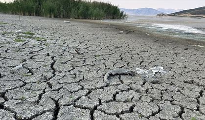 Kuraklık, Mada Adası'ndaki Yörüklerin yaşamını olumsuz etkiledi