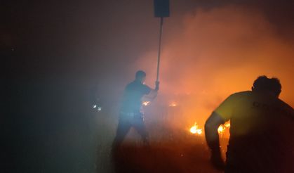 Niğde'de makilik alanda çıkan yangına müdahale ediliyor