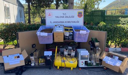Yalova'daki kaçakçılık operasyonunda 1 kişi tutuklandı