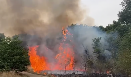 Sıcak hava dalgası uyarısının ardından Londra'da yangın