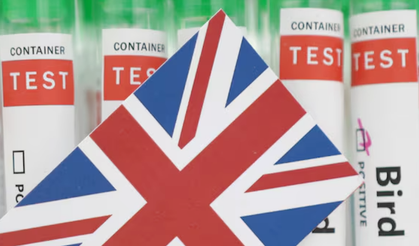 İngiltere'de H5N1 kuş gribi salgını