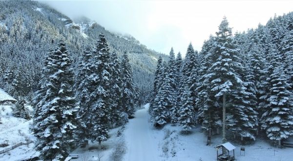 Kastamonu'daki Yaralıgöz Dağı kar yağışının ardından beyaza büründü