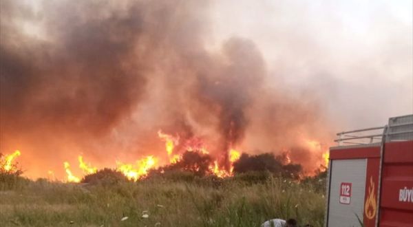Marmaris'te orman yangını vali açıklaması