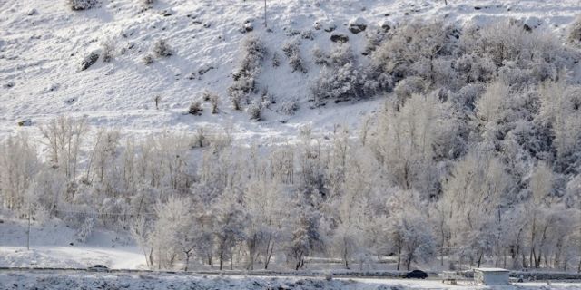 Van, Bitlis, Muş ile Hakkari için kuvvetli buzlanma ve don uyarısı