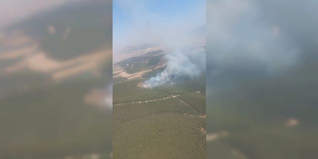 İzmir'in Aliağa ilçesinde ormanlık alanda yangın