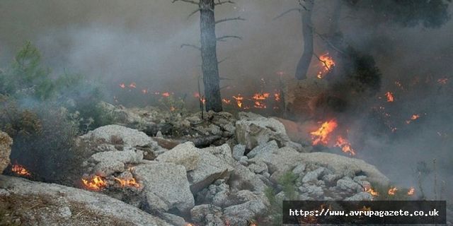 Muğla'da devam eden 5 yangına havadan ve karadan müdahale sürüyor