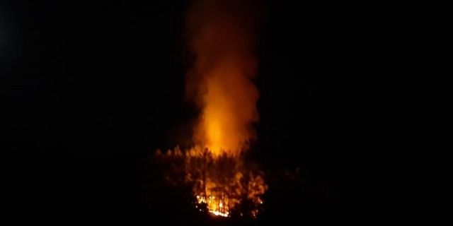 Fethiye'de ormanlık alanda çıkan yangın kontrol altına alınmaya çalışılıyor.