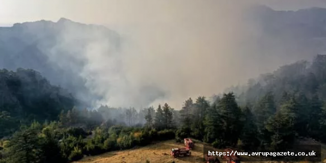 Antalya'nın Kemer ilçesinde çıkan orman yangınına müdahale ediliyor.