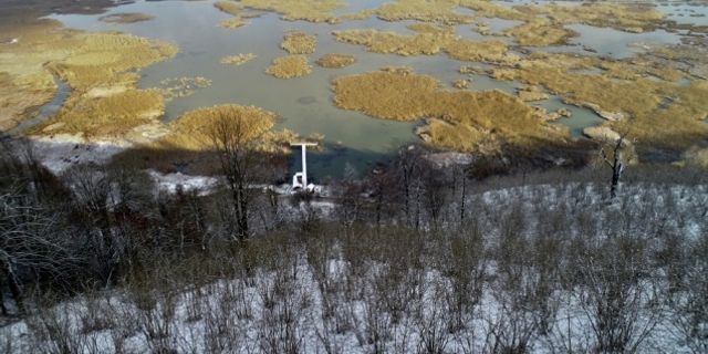 Efteni Gölü Kuş Cenneti'nde kar yağışı altında görüntülendi